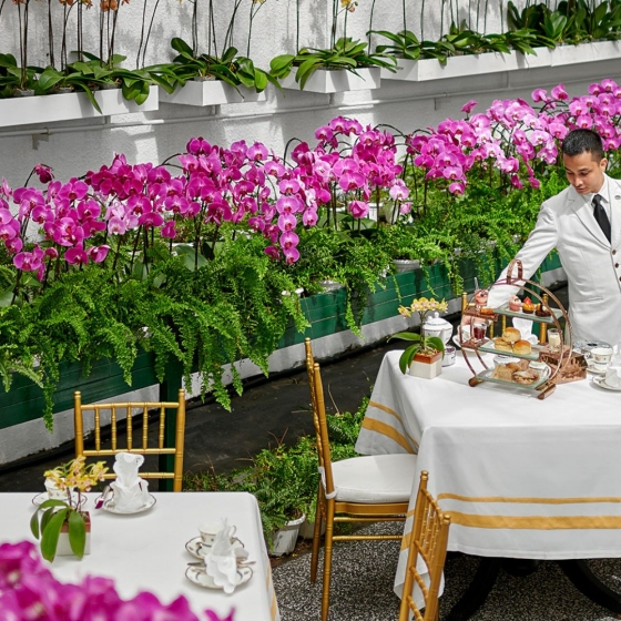 マジェスティックホテル_